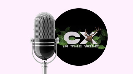 Podcast - CX in the Wild